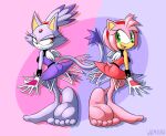  absurd_res amy_rose barefoot blaze_the_cat domestic_cat duo eulipotyphlan feet felid feline felis foot_focus hedgehog hi_res humanoid_feet mammal plantigrade sega soles sonic_the_hedgehog_(series) toes wigmania 