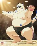  2023 anthro asian_clothing belly big_belly blush clothing east_asian_clothing felid hi_res humanoid_hands japanese_clothing kemono male mammal mawashi moobs nipples overweight overweight_male pantherine solo sumo sumo_ring sumo_wrestler tiger white_body zero_087 