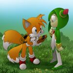  1boy 1girl animal_ear_fluff animal_ears backpack bag bleedman blue_eyes closed_mouth colored_skin cosmo_(sonic) crossover fox_boy furry furry_male gloves green_skin highres holding_scanner no_humans on_ground orange_fur outdoors sonic_(series) sonic_x standing tails_(sonic) white_gloves 