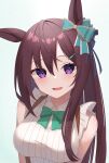  1girl ;d absurdres animal_ears astroglia_cyte blush bow bowtie breasts brown_hair commentary_request ear_bow green_bow green_bowtie hair_ornament hairclip highres horse_ears horse_girl large_breasts long_hair looking_at_viewer mejiro_dober_(umamusume) one_eye_closed partial_commentary purple_eyes shirt sleeveless sleeveless_shirt smile umamusume upper_body white_shirt 