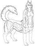  2011 5_fingers black_and_white bottomless bottomless_female bottomless_taur canid canid_taur canine canine_taur canis chukchi_husky claws clothed clothing digital_drawing_(artwork) digital_media_(artwork) digitigrade dog_taur domestic_dog eyelashes female finger_claws fingers fluffy fluffy_tail hair hi_res hoodie husky husky_taur line_art looking_at_viewer mammal mammal_taur monochrome nordic_sled_dog quadruped shirt simple_background solo spitz standing tail taur toe_claws topwear topwear_only white_background 