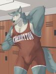  2023 anthro beastars big_muscles bulge canid canine canis claws clothing donttouchmylasagna english_text eyebrows fur hand_behind_back hi_res inside legoshi_(beastars) locker locker_room looking_at_viewer male mammal muscular muscular_anthro muscular_male solo sportswear standing text text_on_clothing tuft wolf wrestling_singlet 