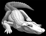  2011 alligator alligatorid ambiguous_gender anti_dev black_background claws crocodilian feral pupils reptile scales scalie sharp_teeth simple_background slit_pupils solo teeth white_body white_scales 