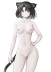  1girl absurdres animal_ears arknights ass_visible_through_thighs black_hair breasts bright_pupils brown_eyes cat_ears cat_girl cat_tail censored collarbone completely_nude contrapposto cowboy_shot hair_ornament hand_on_own_hip highres looking_at_viewer mandragora_(arknights) medium_breasts navel nipples nopetroto nude pale_skin parted_lips pussy short_hair simple_background solo stomach tail uncensored white_background 
