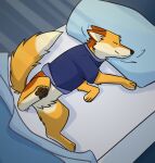  2022 bed bedding blanket bottomless canid canine clothed clothed_feral clothing digital_media_(artwork) eyes_closed featureless_crotch feet feral fluffy fluffy_tail fox furniture hi_res inside leey ley_(leey) lying male mammal on_bed on_side pawpads paws pillow raised_leg shirt sleeping smile solo tail topwear 