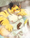  2023 anthro balls blush detailed_background erection felid genitals hi_res hitachi_(tamacolle) humanoid_hands janepoyo kemono male mammal moobs nipples overweight overweight_male pantherine penis sauna solo tamacolle tiger towel water 