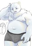  2023 anthro bear belly big_belly black_nose bulge clothing hi_res humanoid_hands japanese_text kemono male mammal moobs navel nipples overweight overweight_male polar_bear solo text tobyou_222 underwear ursine white_body 