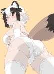  1girl :&lt; absurdres animal_ears ass ass_focus black_hair blush bra breasts brown_eyes brown_hair from_below fur_collar fur_trim grey_hair highres huge_ass kemono_friends kumasyan1998 large_breasts looking_at_viewer multicolored_hair panties raccoon_ears raccoon_tail short_hair solo tail tanuki_(kemono_friends) thighhighs underwear white_bra white_hair white_panties 