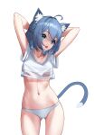  1girl absurdres ahoge animal_ear_fluff animal_ears arms_behind_head arms_up ass_visible_through_thighs blue_eyes blue_hair breasts cat_ears cat_girl cat_tail cowboy_shot crop_top crossed_bangs dot_nose hair_between_eyes highres looking_to_the_side medium_hair navel no_pants open_mouth original panties pjman short_sleeves simple_background small_breasts solo standing stomach tail underwear white_background white_panties 