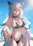 1girl :d absurdres animal_ears antenna_hair arknights bandaged_arm bandages beach bikini black_bikini blue_sky breasts buzhengjingamaojiang cloud commentary_request cowboy_shot day fang grey_eyes grey_hair hair_ornament hairclip highres lappland_(arknights) large_breasts long_hair looking_at_viewer navel ocean open_mouth scar scar_across_eye side-tie_bikini_bottom sky smile solo standing stomach swimsuit very_long_hair water wolf_ears 