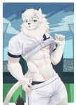  2023 abs anthro areola athletic athletic_anthro athletic_male bodily_fluids clothed clothing clothing_lift felid fur hi_res leo_(saitama_seibu_lions) lion looking_at_viewer male mammal mane mascot nipples nippon_professional_baseball pantherine pureolliebranch saitama_seibu_lions shirt shirt_lift solo sweat topwear white_body white_fur 