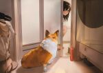  1girl bathing bathroom black_hair blush closed_mouth dog folding_door indoors laundry looking_at_animal medium_hair morifumi nude original peeking_out reflection smile two-tone_fur washing_machine welsh_corgi window_fog 