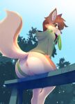  anthro anus b-epon bottomless brown_body brown_fur brown_hair canid canine canis clothed clothing collar domestic_dog female fur genitals green_eyes hair hi_res hoodie leash leash_in_mouth looking_at_viewer looking_back looking_back_at_viewer low-angle_view mammal object_in_mouth outside plant public public_nudity pussy signature sky smile solo topwear tree 