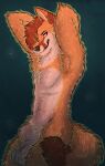  animal_genitalia anthro armpit_tuft balls blue_eyes brown_body brown_fur brown_hair canid canine digital_media_(artwork) fluffy fur genitals grin hair hands_behind_head hi_res inner_ear_fluff male mammal nude orange_body orange_fur raised_arms sheath simple_background smile solo tailtufts tuft whiskers white_body white_fur 