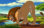  2023 animal_genitalia balls brown_hair butt felid feral fully_sheathed fur genitals grass hair hi_res licking licking_lips lion looking_at_viewer looking_back looking_back_at_viewer male mammal mane nature outside pantherine plant reallynxgirl rear_view savanna seductive sheath solo tail tail_tuft tan_body tan_fur tongue tongue_out tuft water watering_hole whiskers 