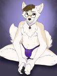  ajna anthro briefs bulge canid canine canis clothing eyewear fluffy glasses hi_res jewelry male mammal multi_nipple necklace nipples nude sabbyth scruffy sitting solo solo_focus underwear wolf 