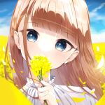 1girl blue_eyes blunt_bangs brown_hair covering_mouth day falling_petals field flower flower_field head_tilt highres holding holding_flower long_hair looking_at_viewer original outdoors petals rapeseed_blossoms sky solo sunlight ttea_arts01 upper_body 