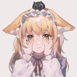  1girl animal_ear_fluff animal_ears arknights arms_up black_cat blonde_hair blue_hairband blurry blush cat chinese_commentary closed_mouth commentary_request covering_face cowlick crossed_bangs film_grain fox_ears fox_girl frilled_hairband frills green_eyes grey_background hair_ornament hairband heixiu highres long_hair long_sleeves milkjiangmz multicolored_hair neck_ribbon official_alternate_costume on_head portrait puffy_long_sleeves puffy_sleeves red_ribbon ribbon sidelocks simple_background sleeve_cuffs solo suzuran_(arknights) suzuran_(spring_praise)_(arknights) the_legend_of_luo_xiaohei two-tone_hair white_hair 
