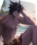  1boy abs animal_ears beach belt black_hair border cat_boy cat_ears character_request cliff cloud copyright_request dilated_pupils feet_out_of_frame hand_in_own_hair highres looking_at_viewer male_focus medium_hair mn_(zig_r14) muscular muscular_male nipples ocean outdoors palm_tree parted_lips pectorals slit_pupils solo topless_male tree upper_body water_drop wet wet_hair white_border 
