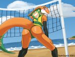  agamid anthro athletic athletic_anthro athletic_female beach blush bottomwear claws clothed clothing duskguard feet female flat_chested frilled_lizard genitals green_clothing green_panties green_underwear hi_res legwear lizard lizzie_(paralympics_australia) looking_at_viewer looking_back mascot net olympics panties reptile royal_australian_mint sand scalie seaside solo sport sports_panties sports_uniform sportswear spread_legs spreading stockings third-party_edit underwear uniform volleyball volleyball_net 