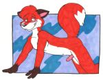  all_fours blush canid canine erection fox fur male mammal red_body red_fur tabbiewolf 