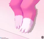  absurd_res ambiguous_gender anthro bat crossed_legs dust:_an_elysian_tail foot_shot hi_res lune_(lunesnowtail) mammal nimbat paws senz sitting solo text url 