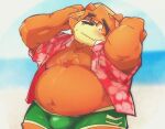  aloha_shirt anthro beach bear belly big_belly blush bottomwear brown_body brown_fur bulge clothed clothing eyewear fur glasses hat headgear headwear kumazawow lifewonders male mammal navel open_clothing open_shirt open_topwear overweight pattern_clothing pattern_shirt pattern_topwear seaside shirt shorts solo straw_hat tokyo_afterschool_summoners topwear volos 