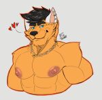  abs accessory anthro bella_vanguard breasts canid canine clothed clothing dragoonie ear_piercing gold_(metal) gold_jewelry hi_res jewelry male mammal maned_wolf muscular pecs piercing smile solo topless topless_male 
