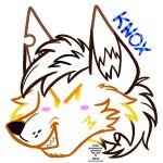  2d anthro artforsale bat black canid canine commissionsopen derp_eyes digital_media_(artwork) eyestrain fox furry furryart furryfandom hi_res hybrid invalid_tag kingstreasures male mammal orange smug 