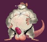  2023 anthro balls belly big_belly crown dekuinthelake erection genitals headgear humanoid_hands male mammal moobs murid murine nipples obese obese_male overweight overweight_male penis rat rodent simple_background solo 