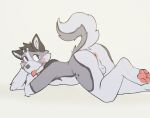  akita anthro anus backsack balls blep butt canid canine canis domestic_dog feet fur genitals grey_body grey_fur hi_res looking_back lying male mammal nude on_front pawpads saucimango solo spitz tongue tongue_out 