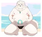  2023 absurd_res anima_(anothereidos_r) another_eidos_of_dragon_vein_r anthro beach belly big_belly black_nose blush bulge canid canine clothing fox fur hi_res humanoid_hands kemono male mammal moobs nipples outside overweight overweight_male return026 seaside solo swimwear water white_body white_fur 