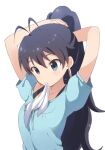  1girl antenna_hair arms_up black_hair blue_eyes blue_shorts blush bra_strap breasts buchi_(y0u0ri_) collarbone dot_nose earrings ganaha_hibiki hoop_earrings idolmaster idolmaster_(classic) idolmaster_million_live! idolmaster_million_live!_theater_days jewelry long_hair looking_at_another medium_breasts mouth_hold ponytail ribbon ribbon_in_mouth shorts simple_background solo tying_hair upper_body white_background 