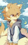  anthro clothed clothing domestic_ferret fur hair hi_res hoodie kemono latte_(leslichu) leslichu male mammal moon mustelid musteline solo star tail topwear true_musteline weasel 