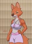  2023 anthro artist_name breasts brown_nose canid canine cheek_tuft cleavage clothed clothing digital_drawing_(artwork) digital_media_(artwork) disney dudles eyebrows eyelashes facial_tuft female fluffy fluffy_tail fox fur hand_on_hip hi_res inner_ear_fluff long_tail looking_at_viewer maid_marian mammal multicolored_body multicolored_fur orange_body orange_fur pink_clothing pink_swimwear red_fox robin_hood_(disney) simple_background smile smiling_at_viewer smirk smirking_at_viewer snout solo straps swimwear tail tuft white_body white_fur 