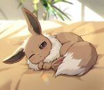  ;&lt; bed blurry blurry_background blush brown_eyes closed_mouth commentary_request day eevee highres indoors kaminokefusa lens_flare light_particles light_rays looking_at_viewer lying no_humans notice_lines on_bed one_eye_closed plant pokemon pokemon_(creature) solo sunlight 