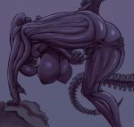  absurd_res alien alien_(franchise) anus big_breasts black_body breasts butt eyeless female genitals hi_res looking_through looking_through_legs nipples nude pussy saidra solo spread_butt spread_pussy spreading xenomorph 