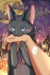  ambiguous_gender bite blue_eyes blush digital_media_(artwork) domestic_cat duo felid feline felis female feral food fruit halloween hi_res holidays human invalid_tag mammal plant pumpkin soka_uzuki teeth tuft whiskers 