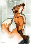  absurd_res anthro bathing bathroom biggoodwolf butt canid canine chest_fur chest_tuft curled_tail dipstick_tail ears_back eyes_closed fox fur hi_res jakkals_van_der_bergh_(doppelfoxx) male mammal manly markings muscular muscular_anthro muscular_male neck_tuft nude pivoted_ears pose raised_tail shower showering solo tail tail_markings tasteful_nudity tile tile_wall touching_face towel tuft wall_(structure) water wet wet_body wet_fur whiskers 