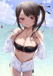  1girl bikini black_bikini black_ribbon blush breasts brown_hair chigusa_minori cleavage closed_mouth commentary_request corrupted_twitter_file cowboy_shot day hair_ribbon halterneck highres horizon jacket jacket_over_swimsuit jewelry kokoro_iroduku_koi_ga_shitai large_breasts long_hair looking_at_viewer momiji_ayaka nail_polish navel necklace ocean open_clothes open_jacket outdoors people red_eyes red_nails ribbon side_ponytail sidelocks solo_focus stomach swimsuit wading white_jacket 