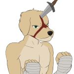  1:1 anthro bandaged_hand bird_dog blood bodily_fluids canid canine canis clothed clothing domestic_dog golden_retriever green_eyes head_injury hunting_dog male mammal melee_weapon muscular muscular_male retriever solo sword topless topless_male weapon xvii_(artist) 