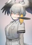  1girl bird_tail black_hair blush breast_pocket breasts closed_mouth collared_shirt feather_in_mouth green_eyes grey_hair grey_necktie grey_shirt hair_between_eyes head_wings highres john_(a2556349) kemono_friends kemono_friends_3 layered_sleeves long_hair long_sleeves looking_at_viewer multicolored_hair necktie pocket shirt shoebill_(kemono_friends) short_over_long_sleeves short_sleeves shorts sidelocks solo tail wings 