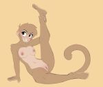  427deer absurd_res anthro athletic athletic_anthro blush breasts brown_body brown_eyes brown_fur capuchin_monkey cebid female fur genitals haplorhine hi_res mammal monika_lee monkey new_world_monkey nude pose primate pussy simple_background small_breasts solo stretching 