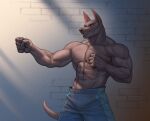  abs absurd_res animal_humanoid anthro biceps bottomwear brick_wall brown_body canid canid_humanoid canine canine_humanoid canis clothed clothing digital_media_(artwork) dobermann dog_humanoid domestic_dog ears_up edvardiko fighting_pose fist hi_res humanoid male mammal mammal_humanoid muscular muscular_anthro muscular_male navel nipples pants pants_only pecs pinscher pose raised_arm raised_fist shirtless shirtless_male simple_background snout solo standing tail topless vein veiny_muscles wall_(structure) 