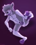  absurd_res anthro blush bodily_fluids breasts canid canine canis dildo enjoying female fuegopokato fur genital_fluids genitals grey_body grey_fur hair hi_res kato_(fuegopokato) long_hair mammal open_mouth penetration purple_background purple_body purple_fur pussy pussy_juice raised_leg sex_toy simple_background skinny small_breasts solo spread_legs spreading tail tongue tongue_out vaginal vaginal_penetration white_body white_fur wolf 