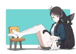  1girl absurdres aqua_background black_cat blue_jacket border braid braided_ponytail breasts brown_eyes brown_skirt cat closed_mouth collarbone eyelashes feet feet_up full_body grey_shirt hair_ornament hair_over_shoulder hairclip highres iwato_suzume jacket kneehighs knees_up lan_mao_akko legs legs_together long_hair miniskirt no_shoes open_clothes open_jacket petting shirt sitting skirt smile socks solo suzume_no_tojimari swept_bangs thighs toes white_border white_cat white_shirt white_socks x_hair_ornament 