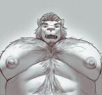  abs absurd_res anthro beard bedroom_eyes big_muscles big_pecs body_hair chest_hair chest_tuft facial_hair felid feline final_fantasy final_fantasy_xiv first_person_view hairy happy_trail hi_res hrothgar looking_at_viewer male mammal manly musclegut muscular muscular_male narrowed_eyes nipples pecs seductive size_difference solo solo_focus square_enix stomach_hair tompi_(artist) tuft 