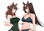  2girls animal_ears arm_at_side bare_shoulders bikini black_bikini breasts brown_hair collarbone covered_navel frilled_one-piece_swimsuit frills green_one-piece_swimsuit hair_bun halterneck hand_on_own_hip hand_up highres horse_ears horse_girl horse_tail long_hair looking_at_another medium_breasts multicolored_hair multiple_girls navel one-piece_swimsuit open_mouth parted_lips ponytail purple_eyes red_eyes sirius_symboli_(umamusume) streaked_hair swimsuit symboli_rudolf_(umamusume) tail ukka_(0ukka_) umamusume upper_body 