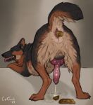  anatomically_correct anatomically_correct_anus anatomically_correct_genitalia anatomically_correct_penis anthro anus ass_up balls bodily_fluids butt canid canine canis domestic_dog entomb feces genital_fluids genitals german_shepherd herding_dog hi_res male mammal pastoral_dog penis presenting scat solo urine watersports 