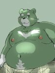  2023 3:4 anthro bear belly big_belly blush clothing green_body kemono male mammal menmen_kesinn moobs navel nipples one_eye_closed overweight overweight_male simple_background solo underwear wink 